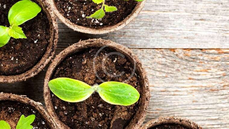 Municipal Green Infrastructure Teams